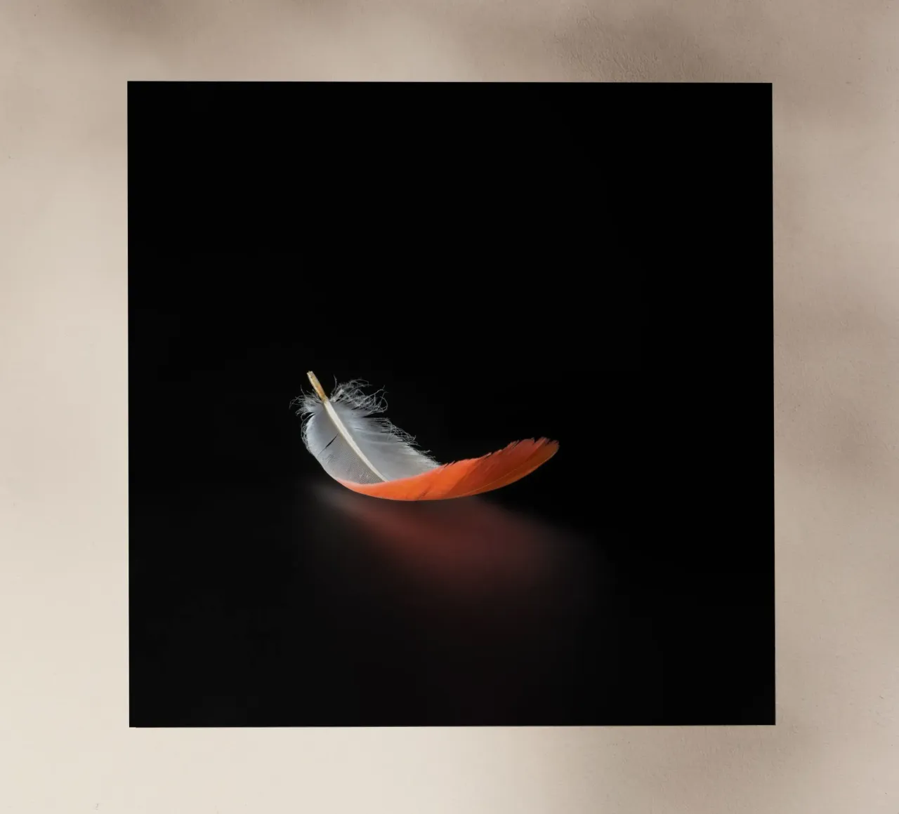 Floating spring backlit film by Rainer Lüdecke – Wall Art