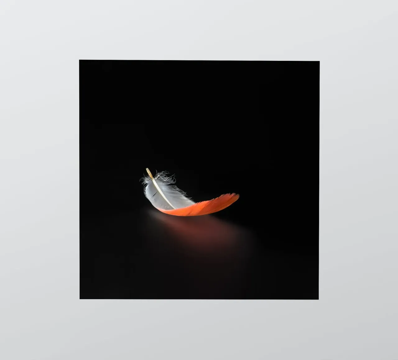 Floating spring sticker by Rainer Lüdecke – Wall Art