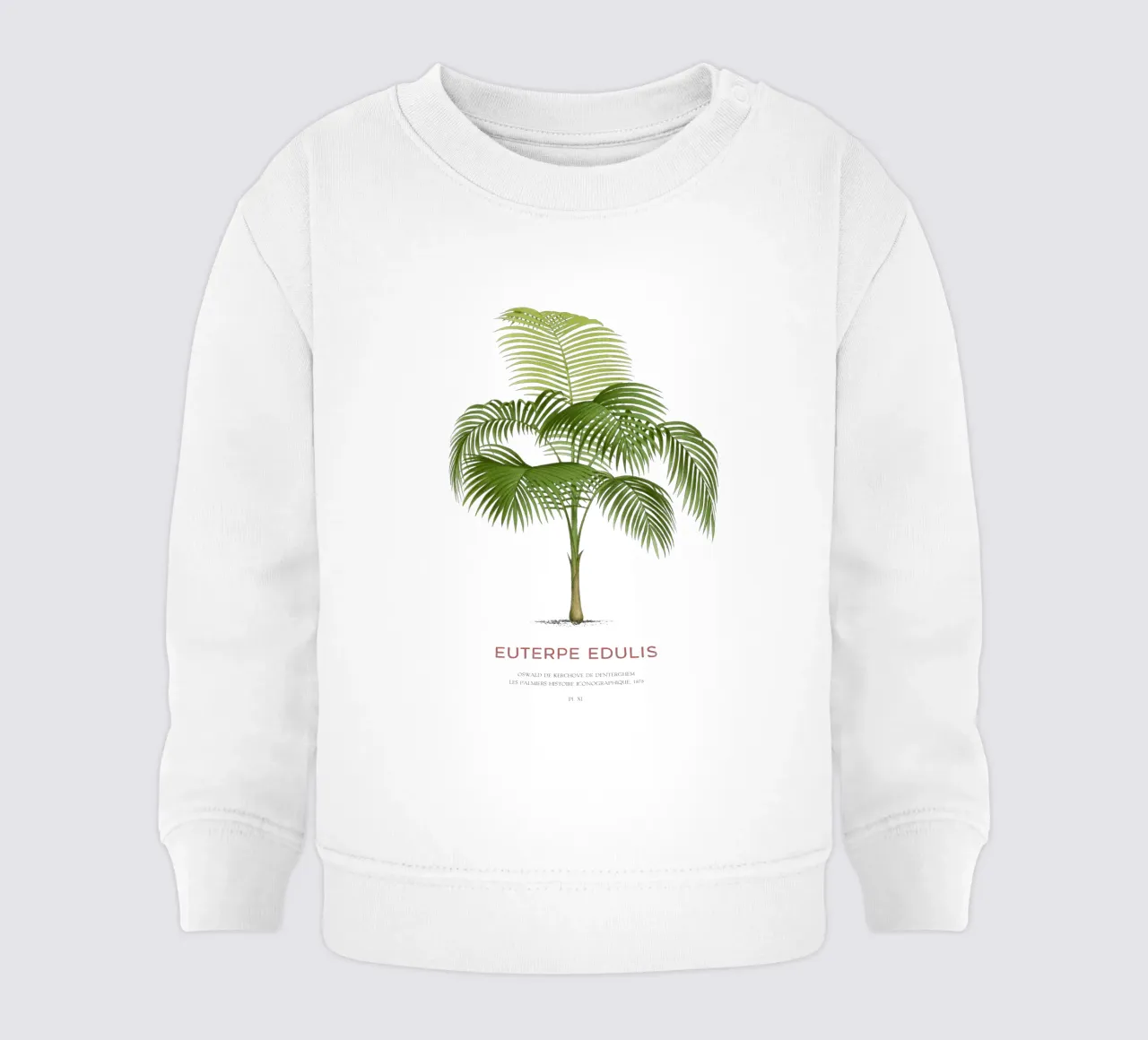 Palma Palmiteiro o Euterpe edulis felpa neonato da Vintagrafica