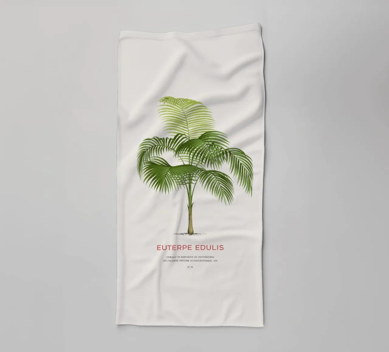 Palma Palmiteiro o Euterpe edulis asciugamano da bagno da Vintagrafica