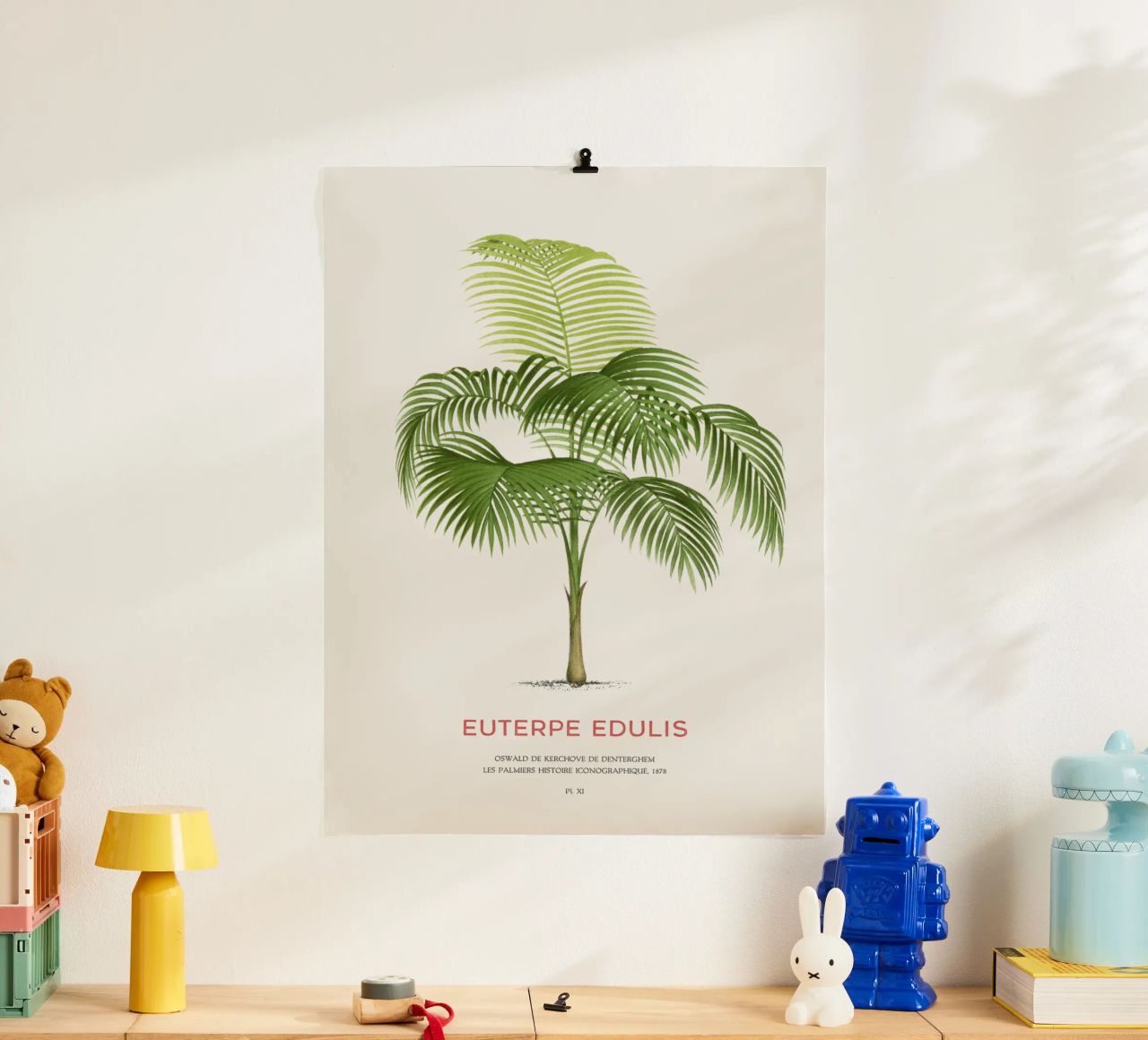 Palmiteiro-Palme oder Euterpe edulis Poster von Vintagrafica
