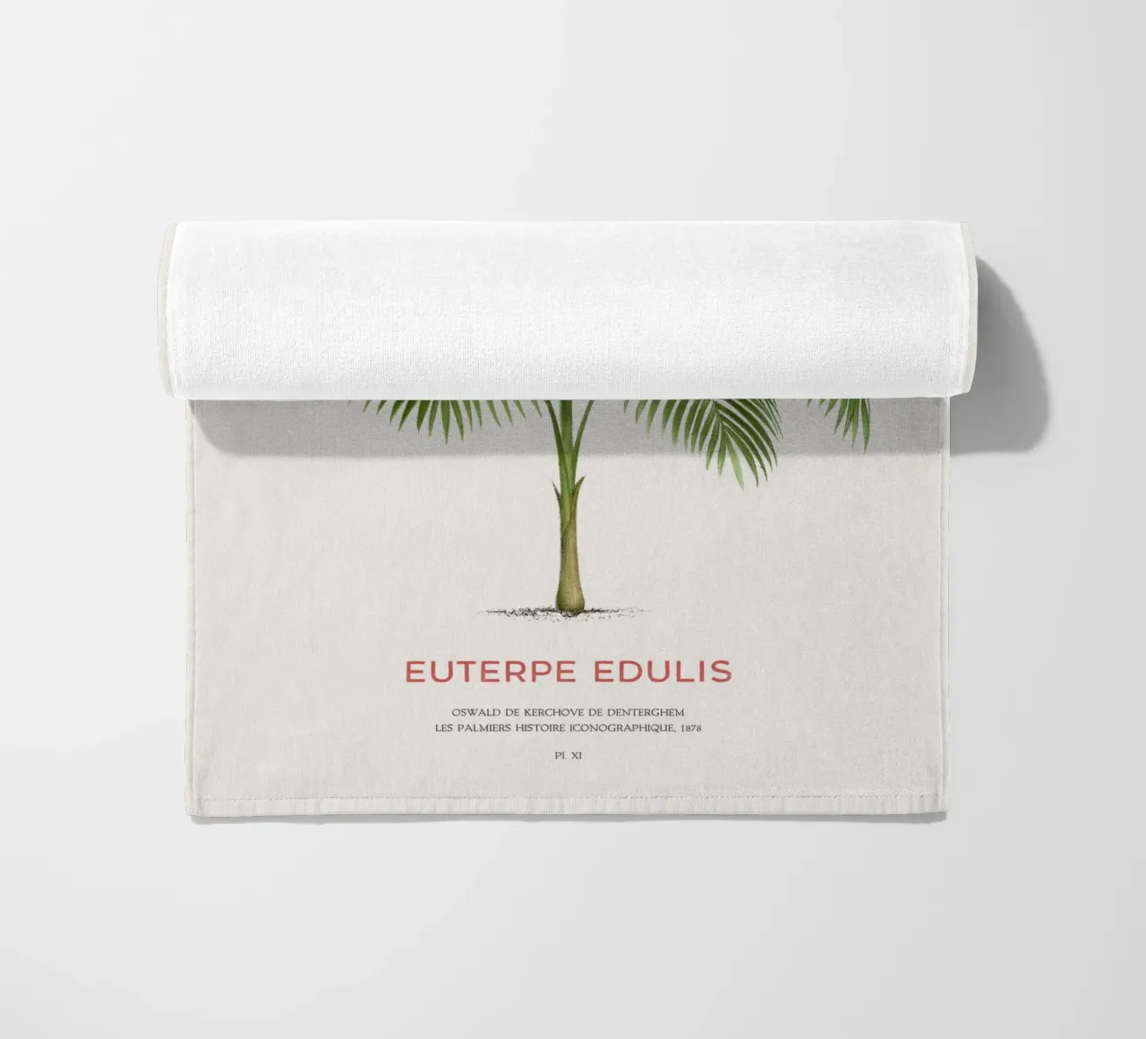 Palma Palmiteiro o Euterpe edulis telo mare da Vintagrafica