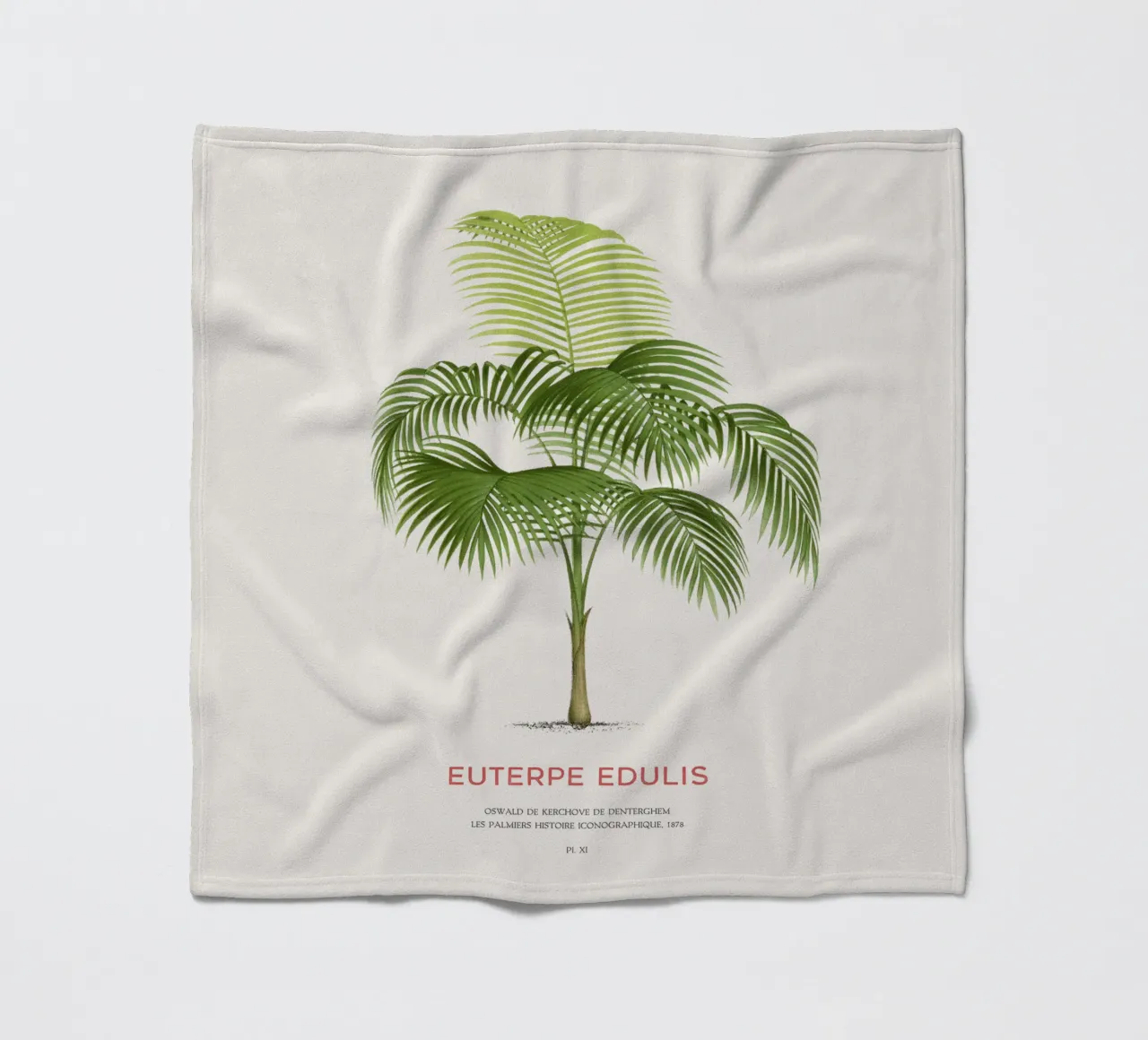 Palma Palmiteiro o Euterpe edulis coperta in pile da Vintagrafica