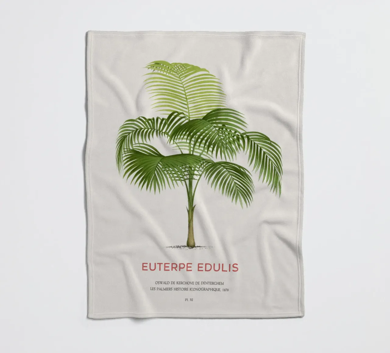 Palma Palmiteiro o Euterpe edulis coperta in pile da Vintagrafica