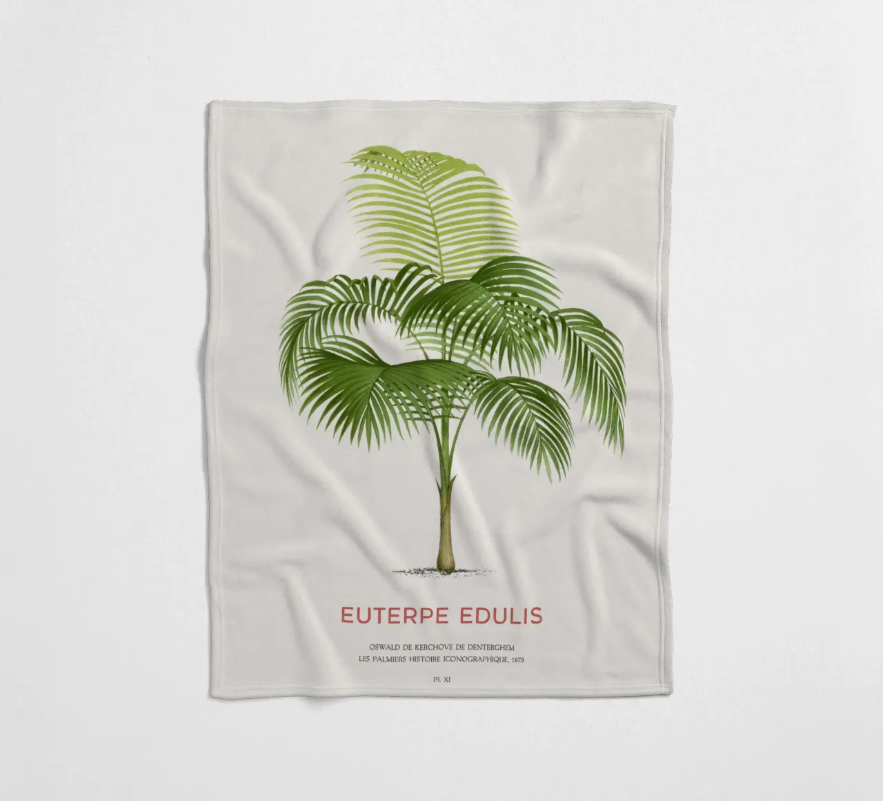 Palma Palmiteiro o Euterpe edulis coperta in pile da Vintagrafica
