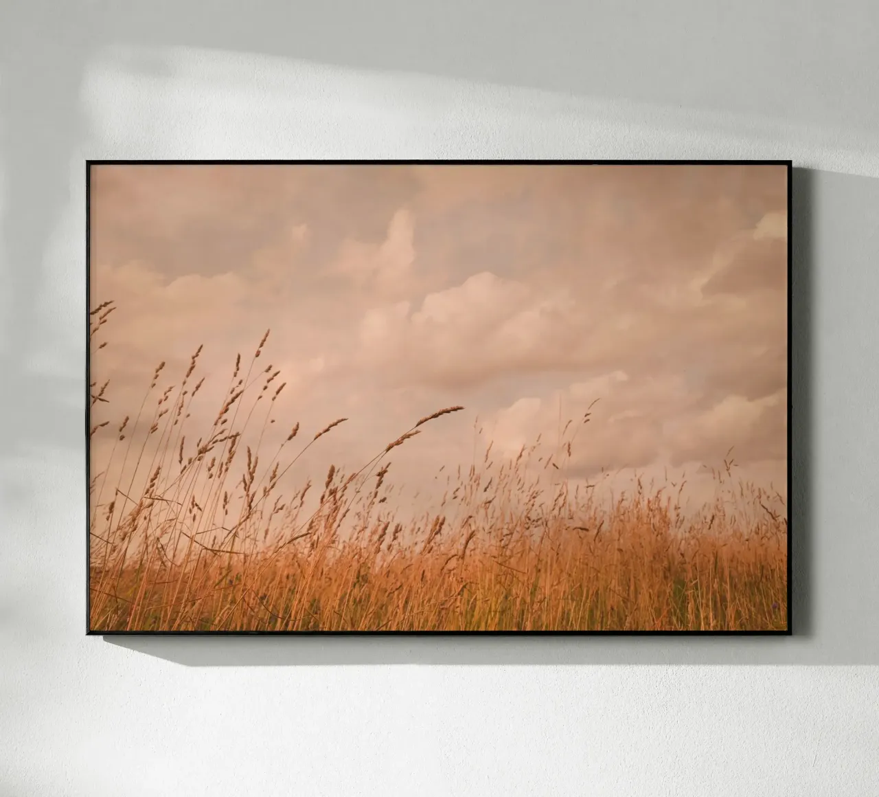 summer meadow plexiglass da Visuelle Poesie am Wegesrand