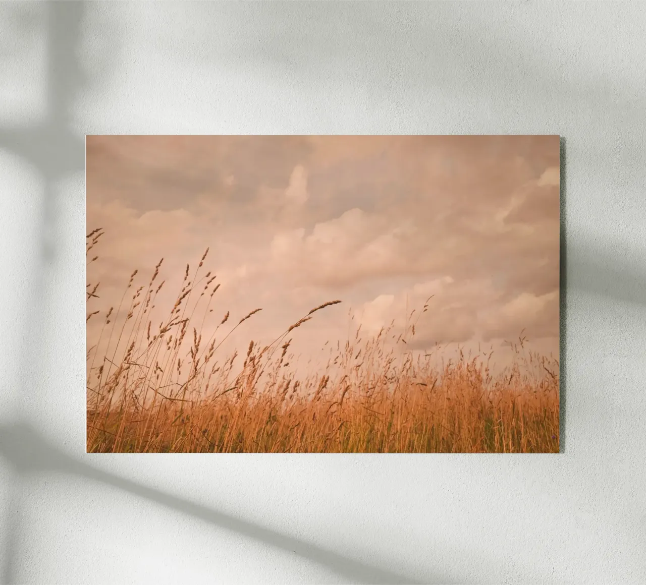 summer meadow plexiglass da Visuelle Poesie am Wegesrand