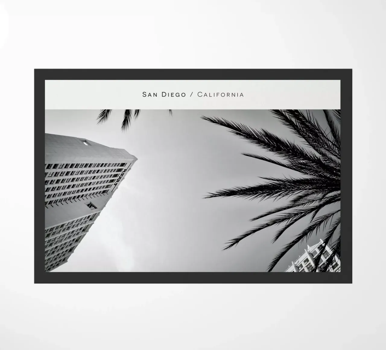San Diego B&W zerbino da In Full Color