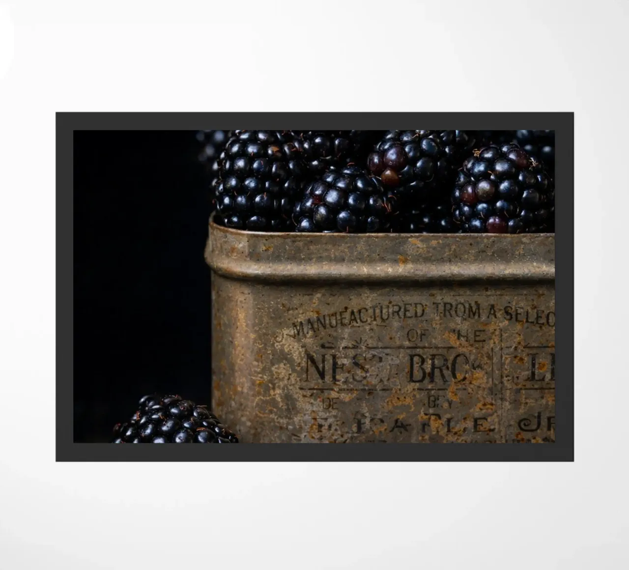 mora zerbino da PASMING