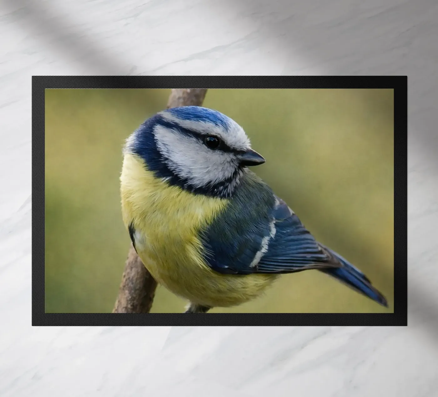 bird zerbino da PASMING