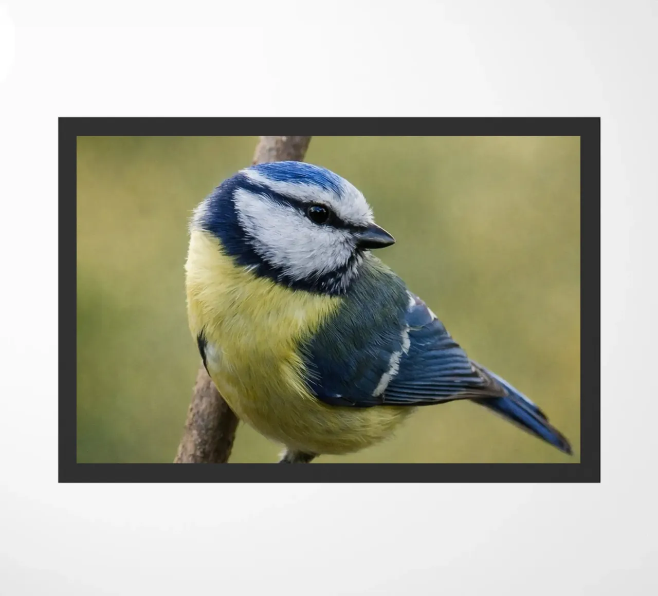 bird doormat by PASMING