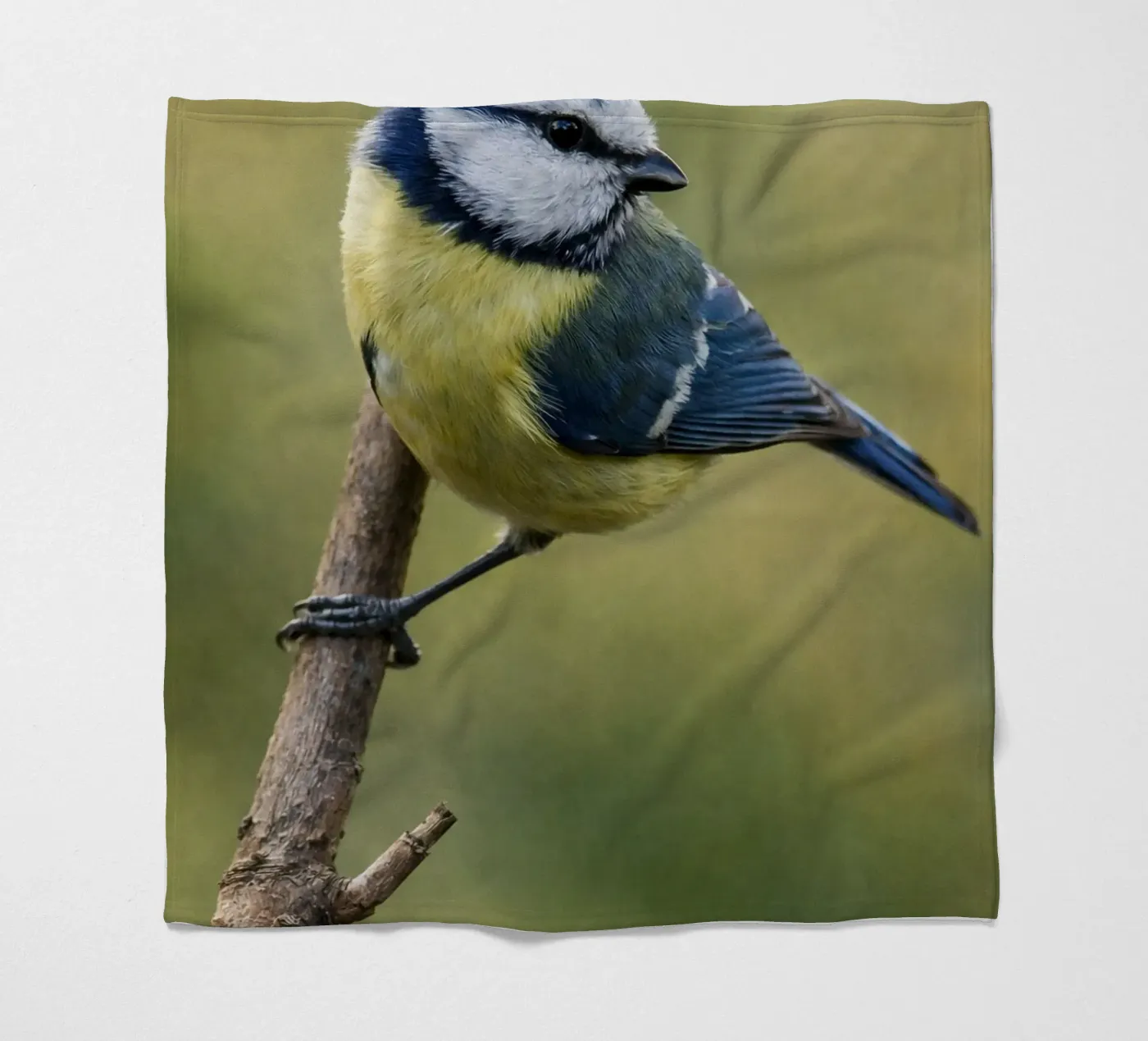 bird fleecedeken van PASMING