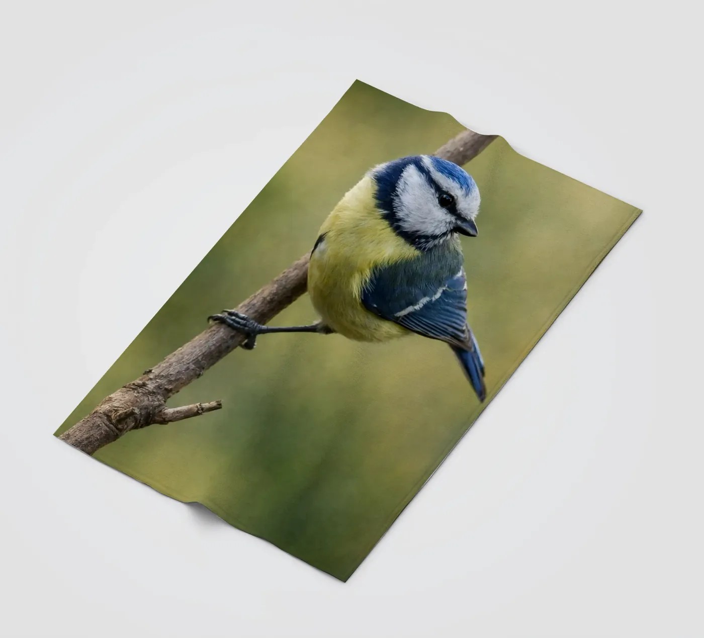 bird fleecedeken van PASMING