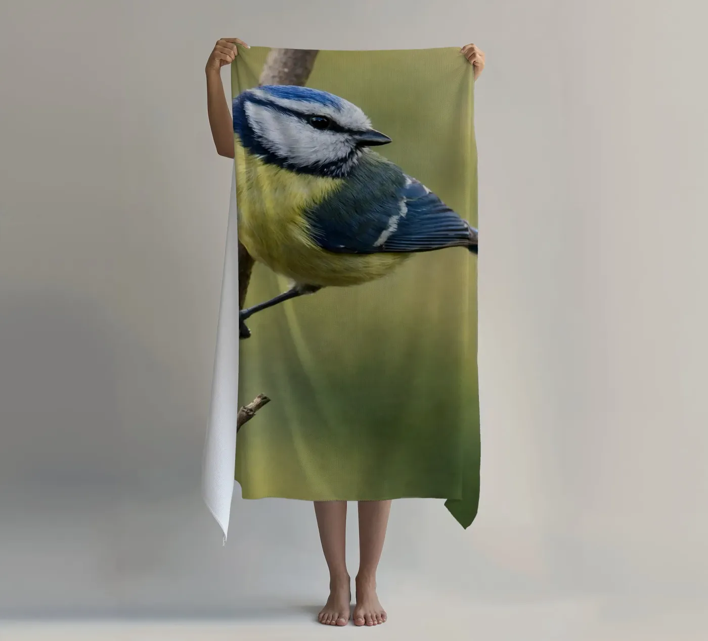 bird telo mare da PASMING