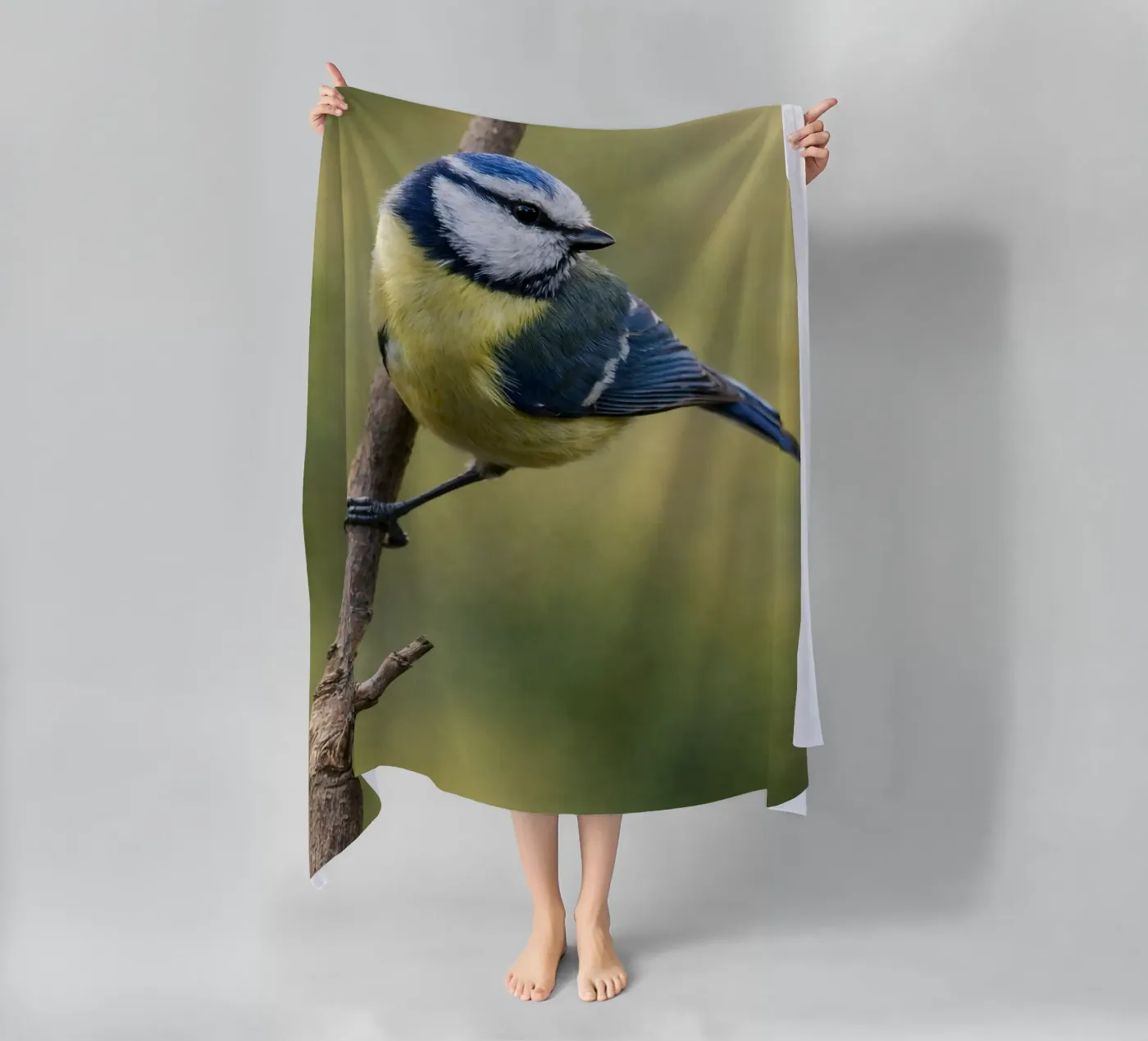 bird telo mare da PASMING