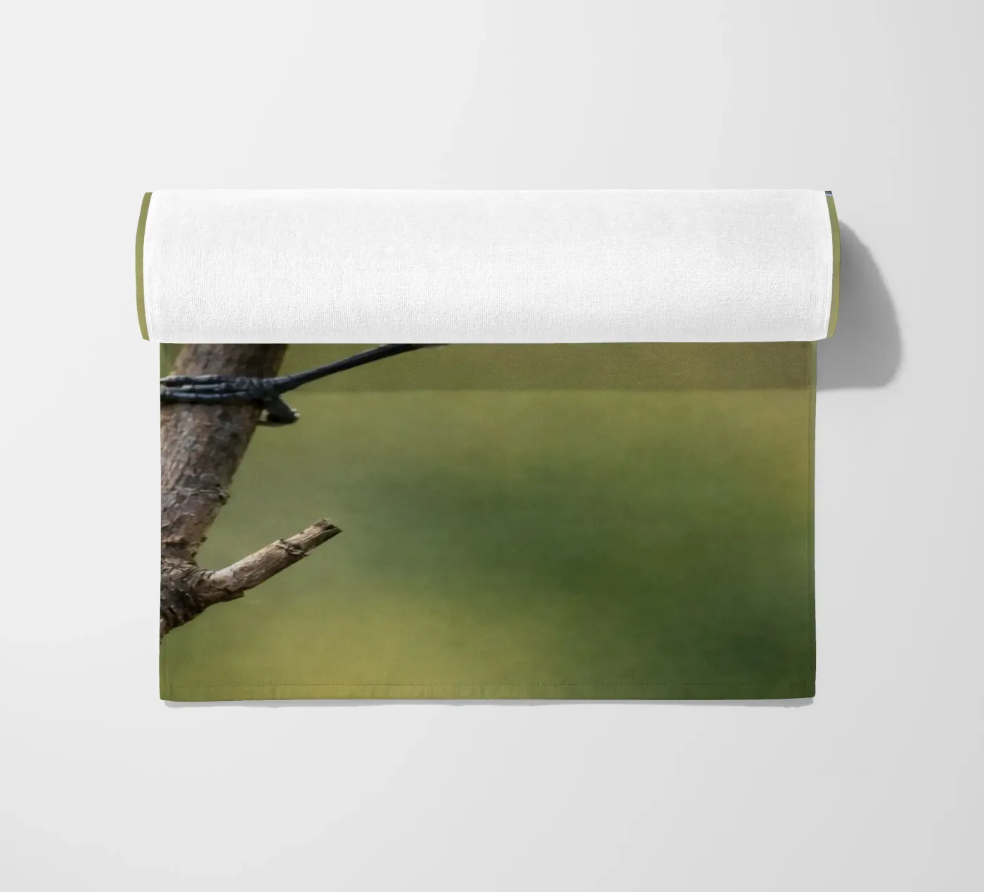 bird telo mare da PASMING