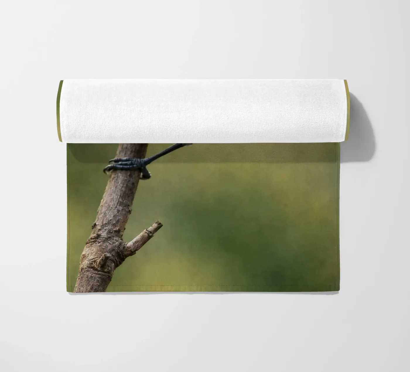 bird telo mare da PASMING