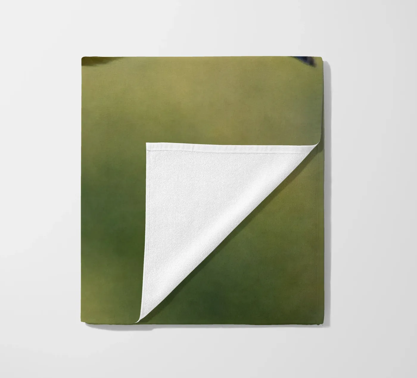 bird telo mare da PASMING