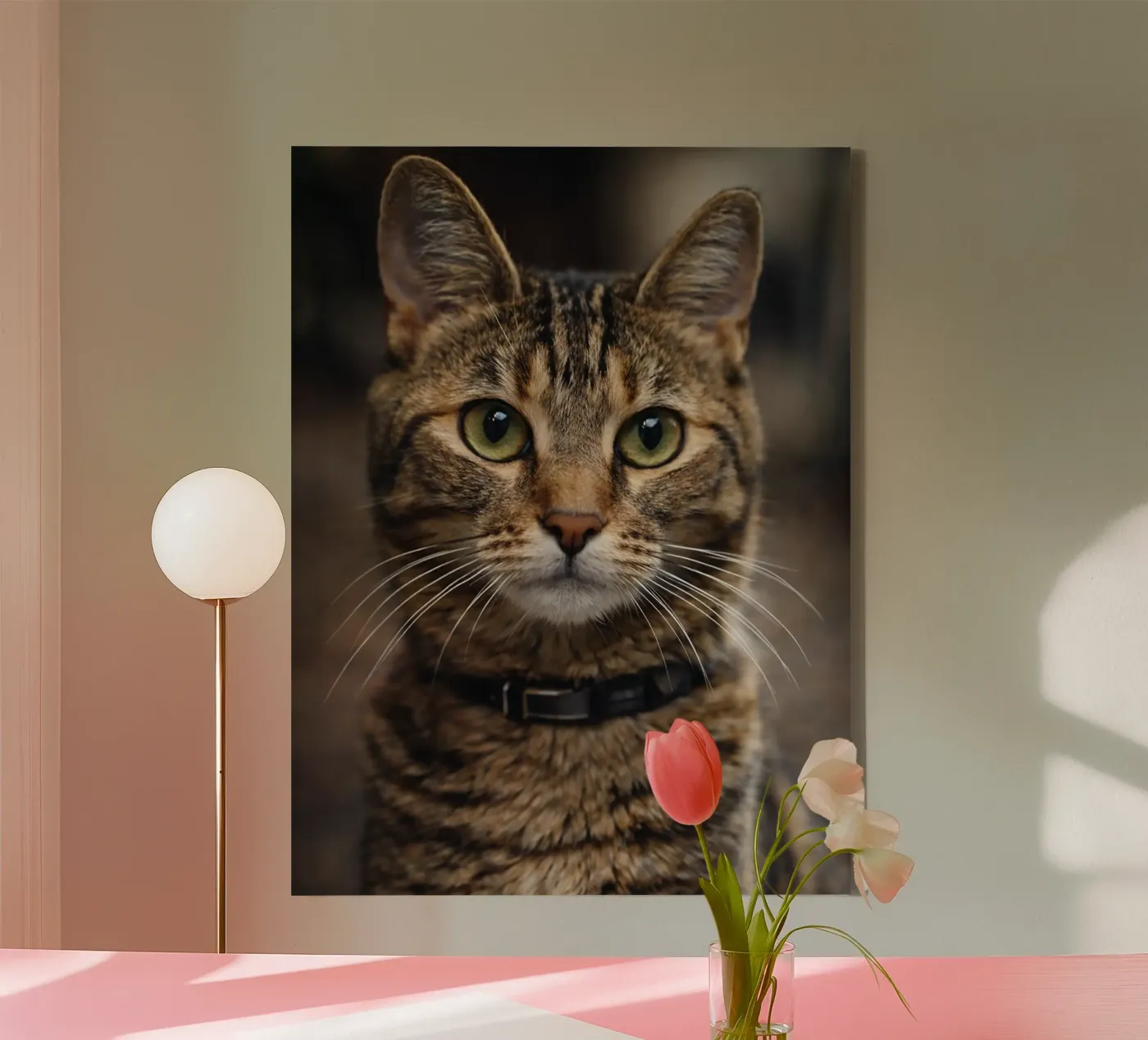 cat canvas van PASMING