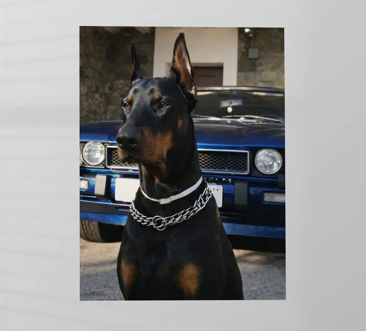 tuttavia pellicola backlit da PASMING