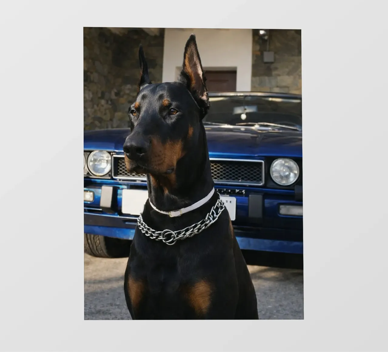 echter fotobehang van PASMING