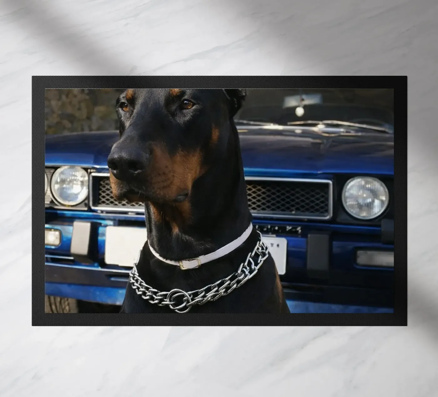 tuttavia zerbino da PASMING