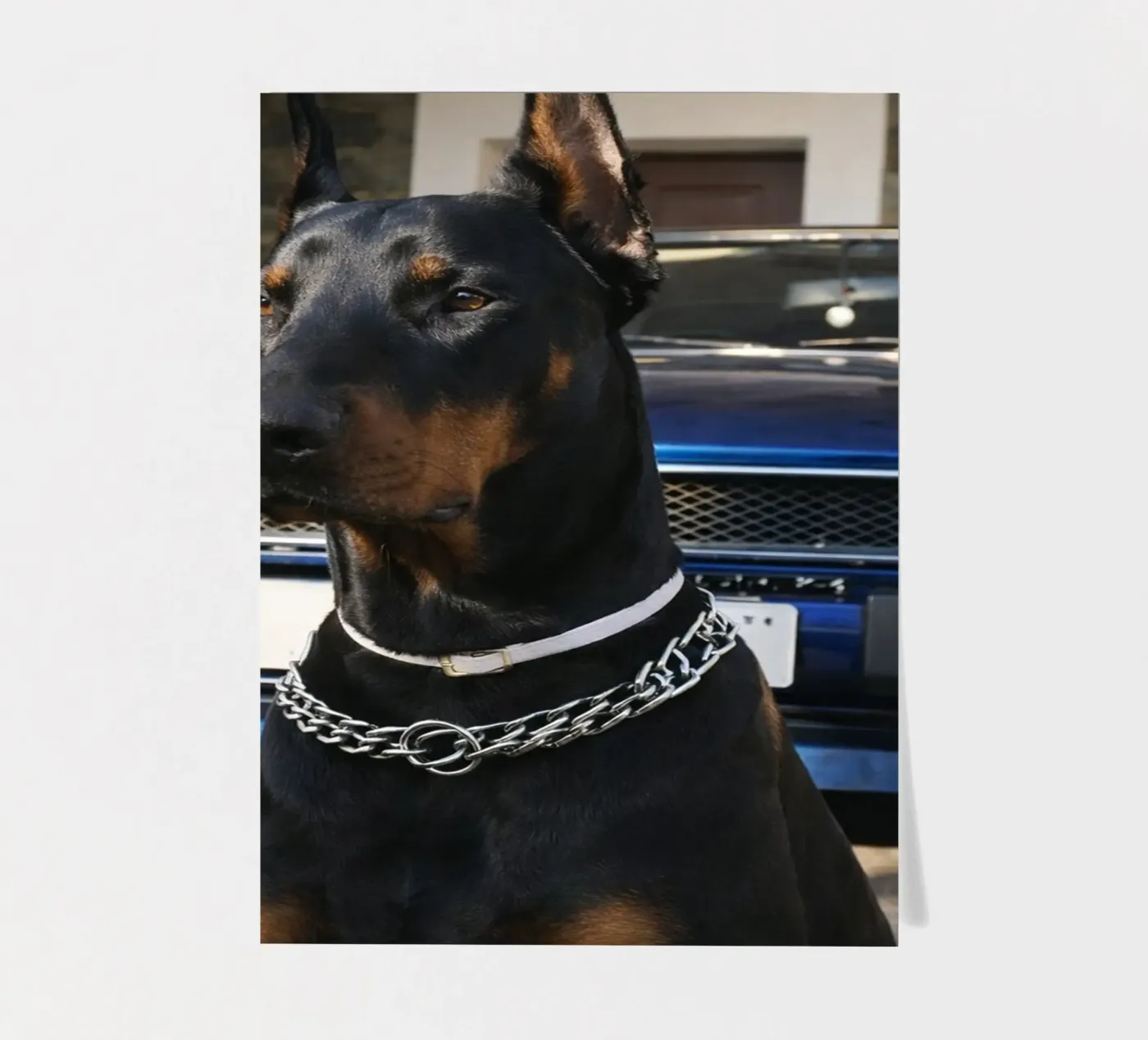 echter stickervel van PASMING