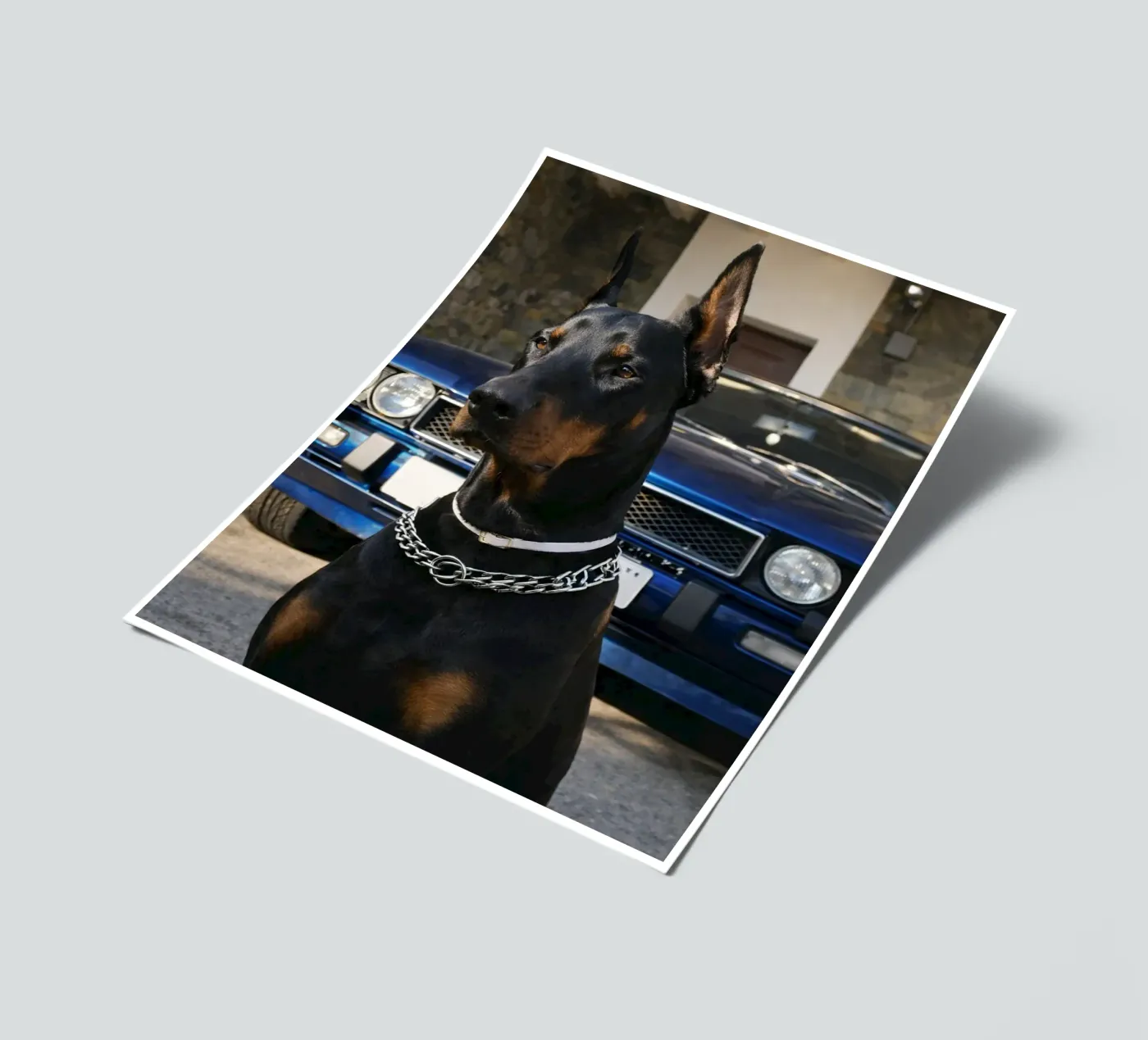 echter stickervel van PASMING