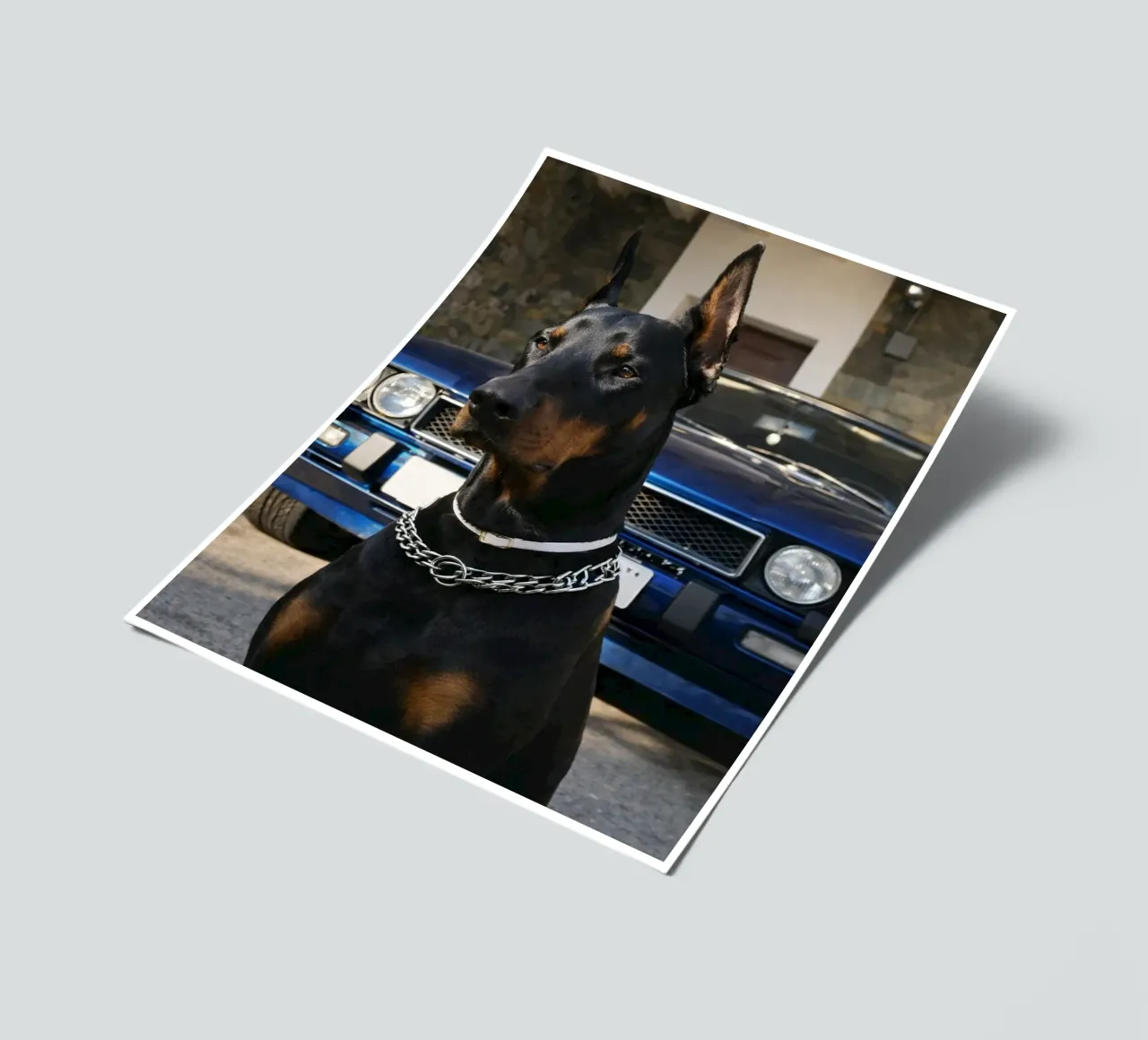 however sticker sheet by PASMING