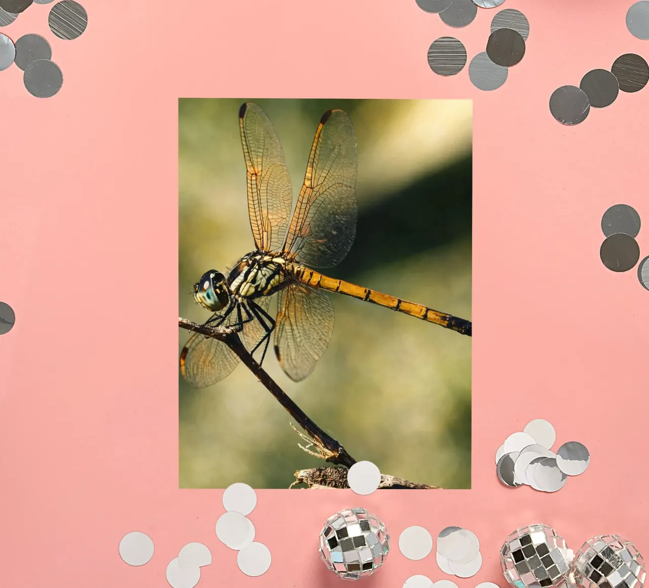 libel sticker van PASMING