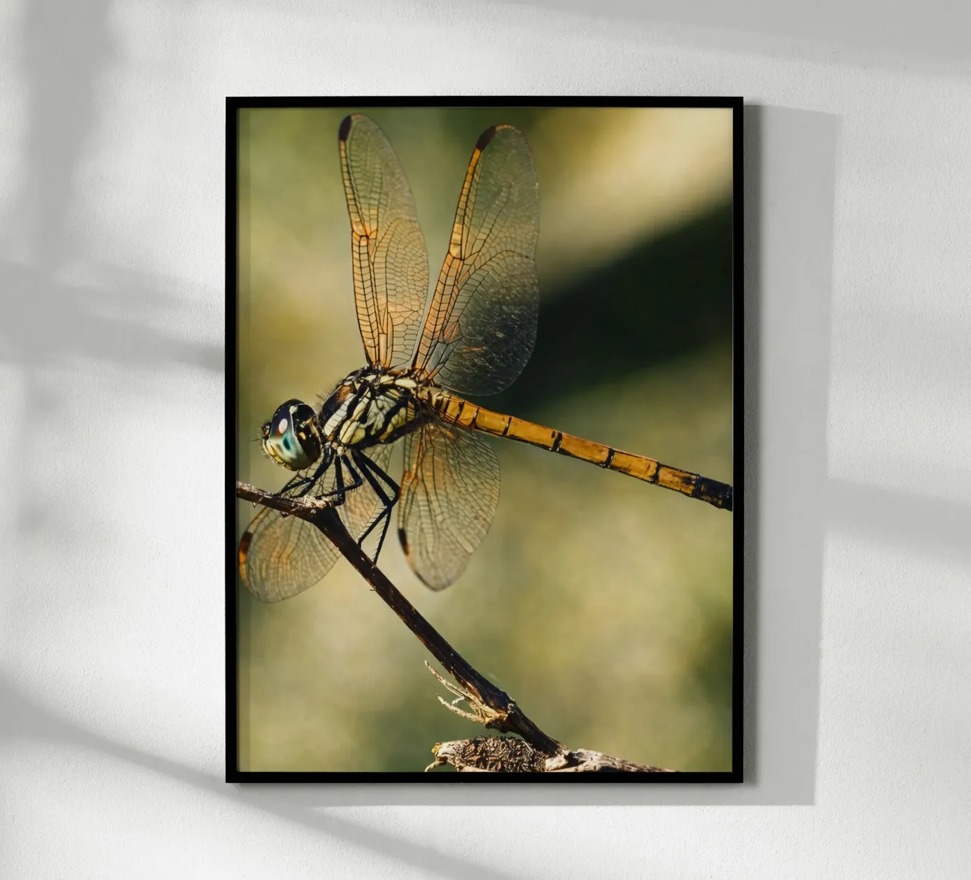 dragonfly poster van PASMING