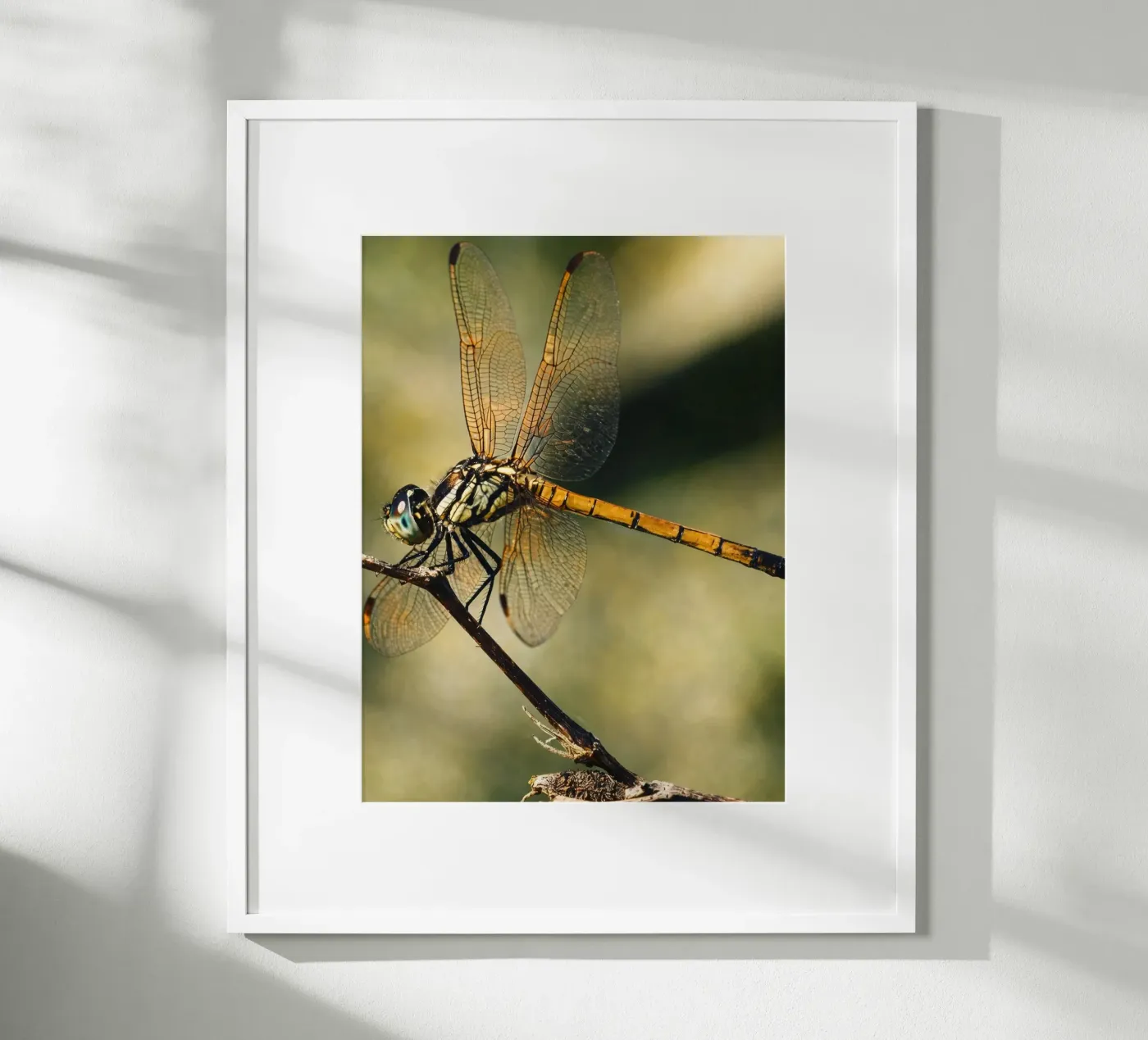 dragonfly poster van PASMING