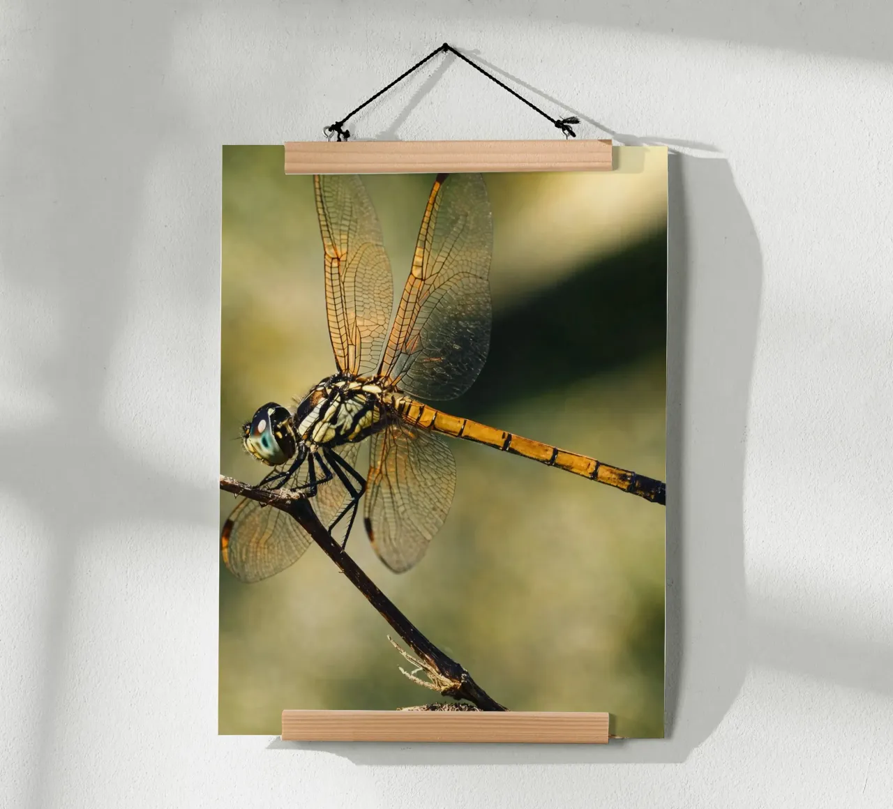 dragonfly poster de PASMING