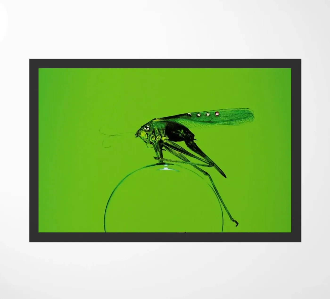 Grashüpfer doormat by neon* fotografie