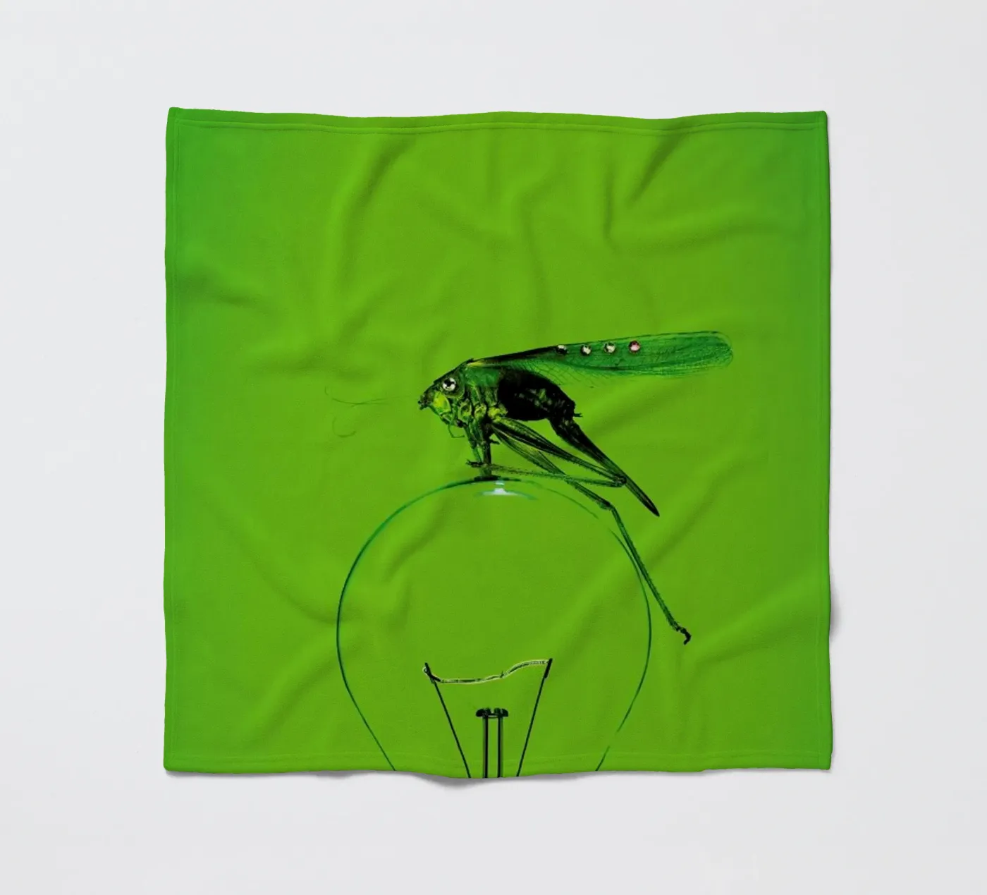 Grashüpfer Fleecedecke von neon* fotografie