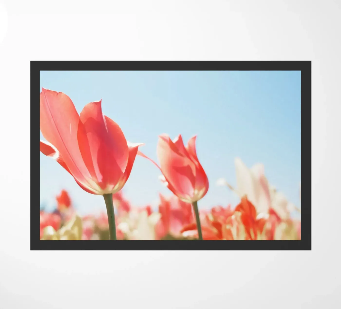 Sway Fußmatte von Morgan Kendall