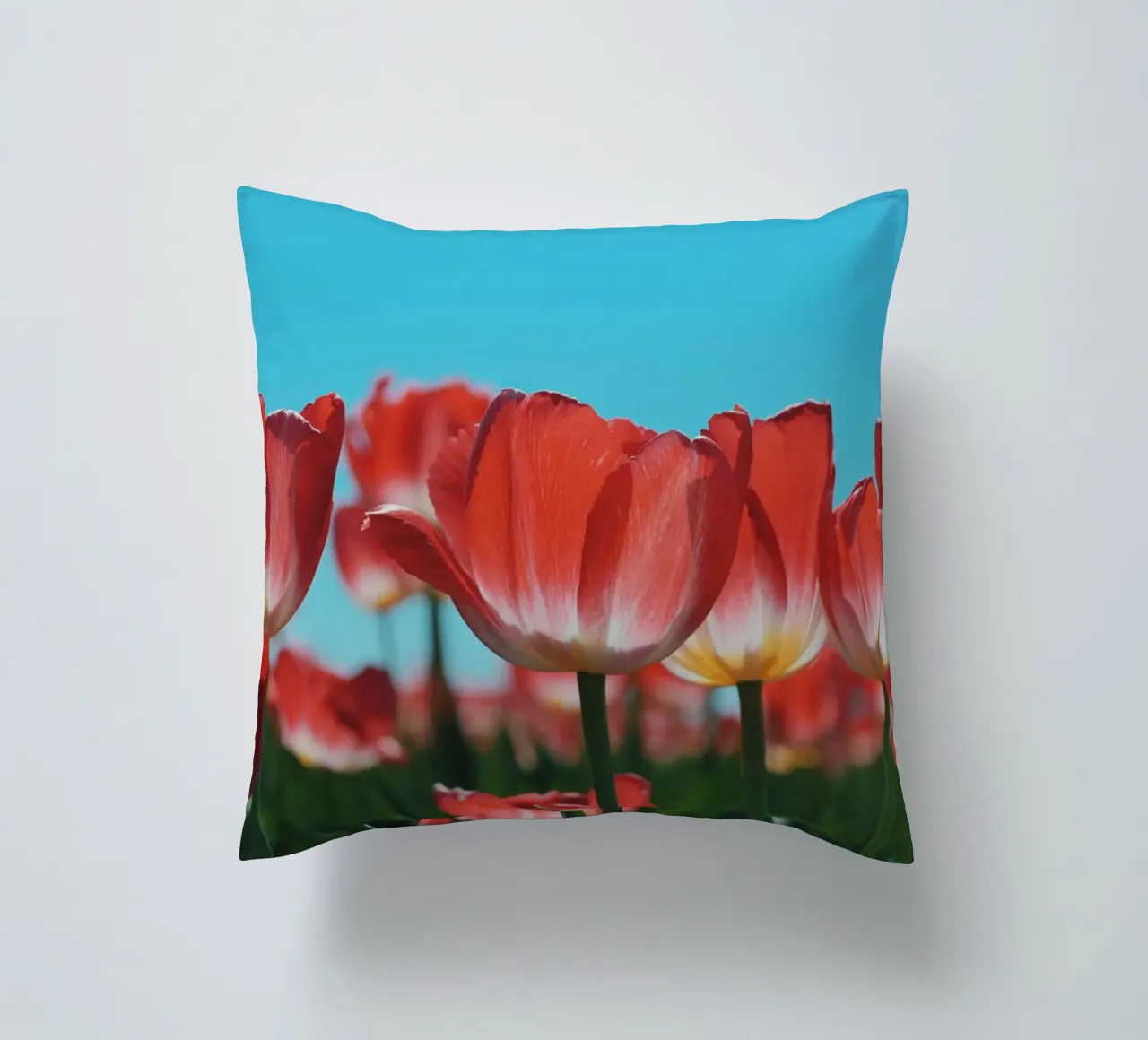 Tulip Row cuscino da Morgan Kendall