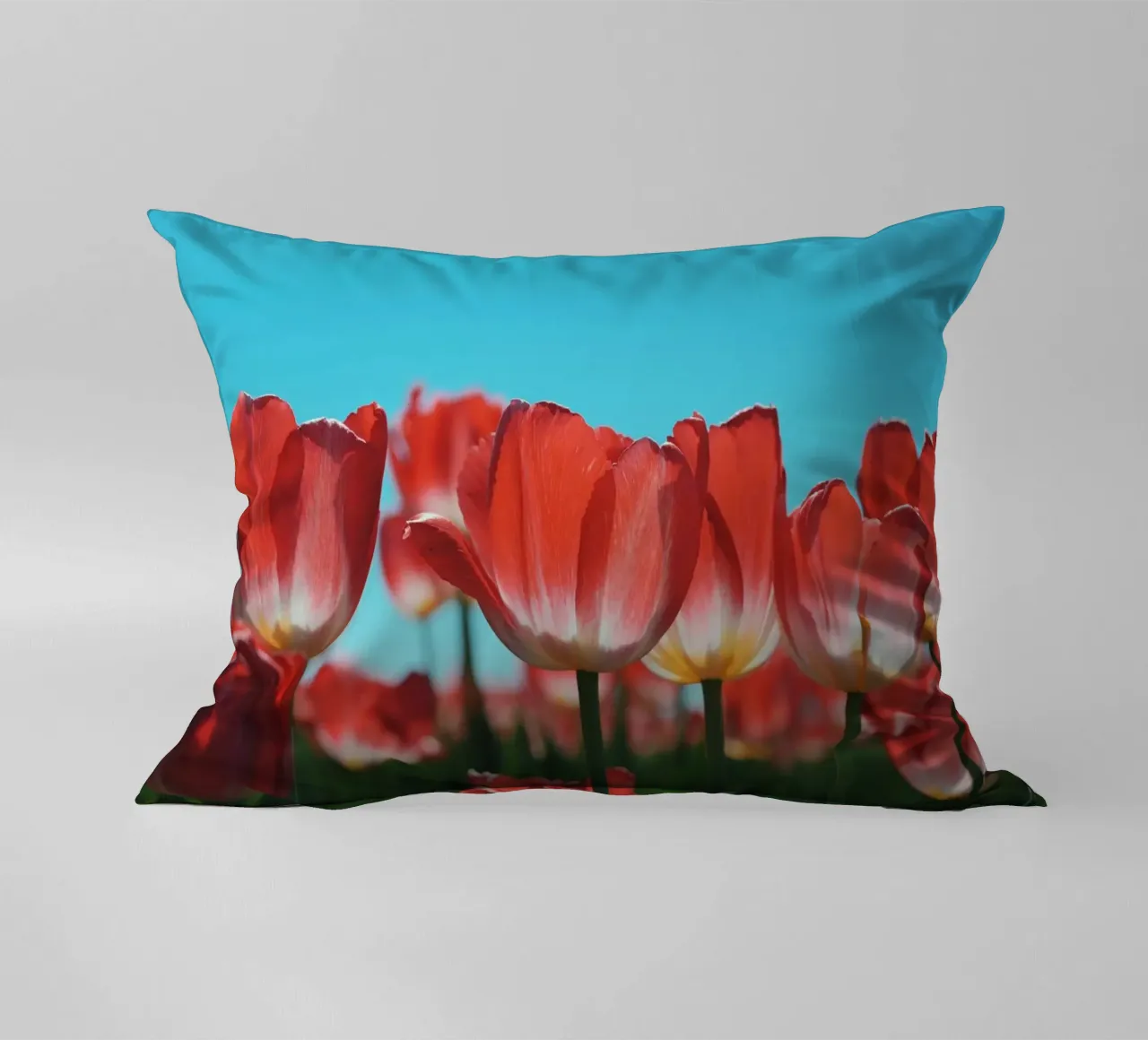 Tulip Row cuscino da Morgan Kendall