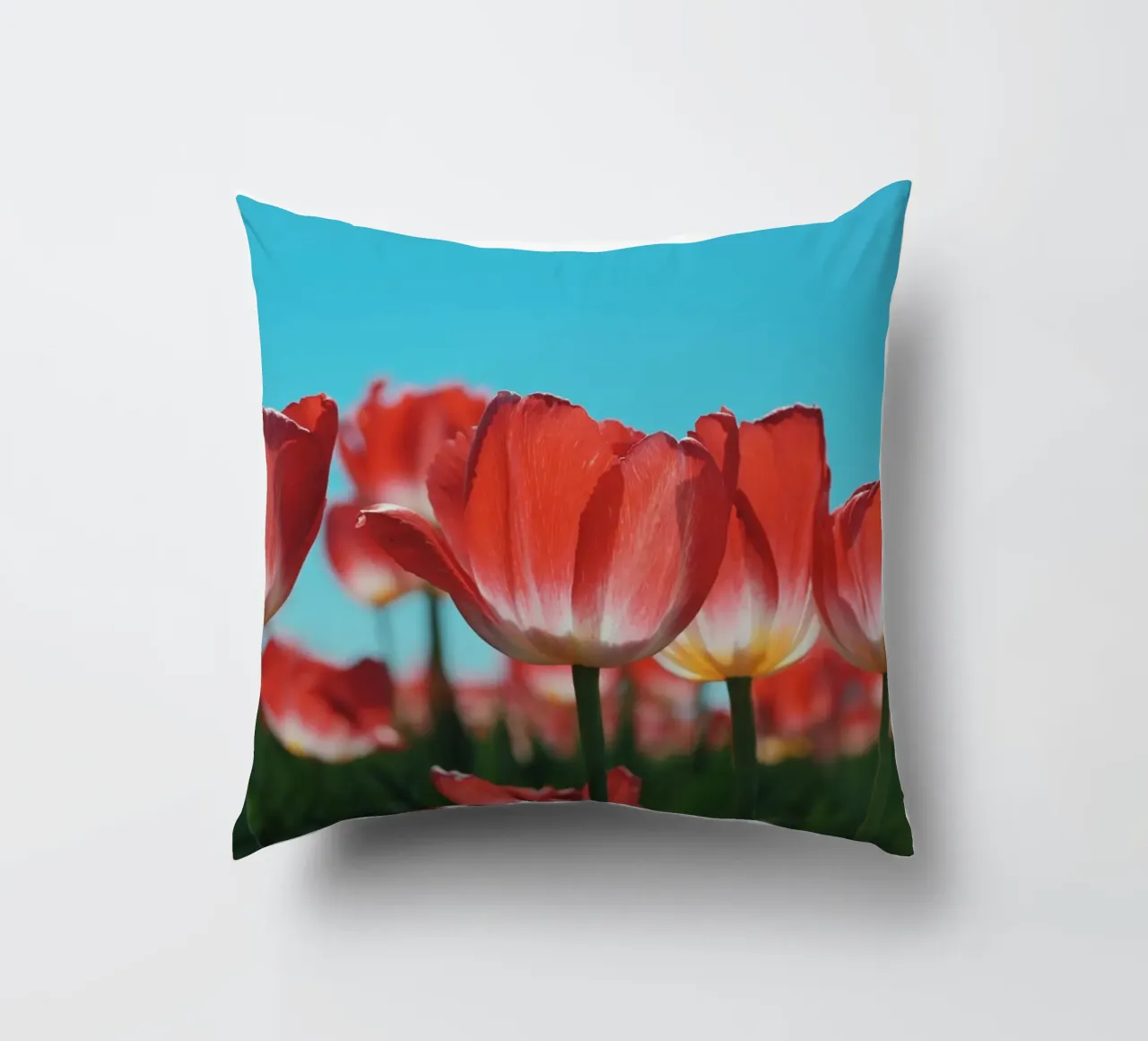 Tulip Row cuscino da Morgan Kendall
