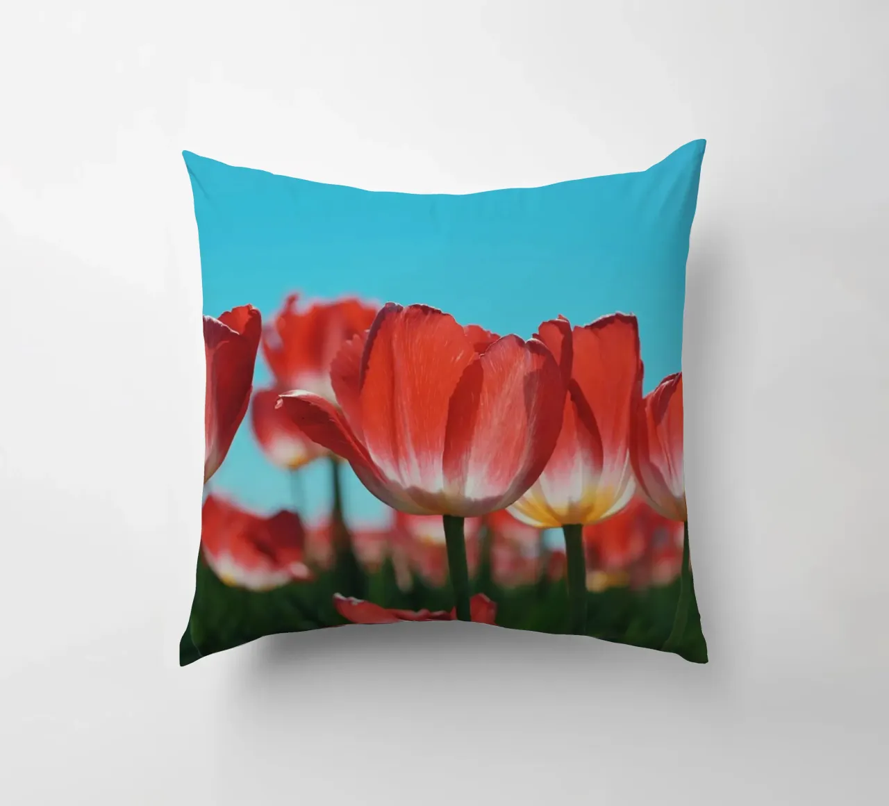 Tulip Row cuscino da Morgan Kendall