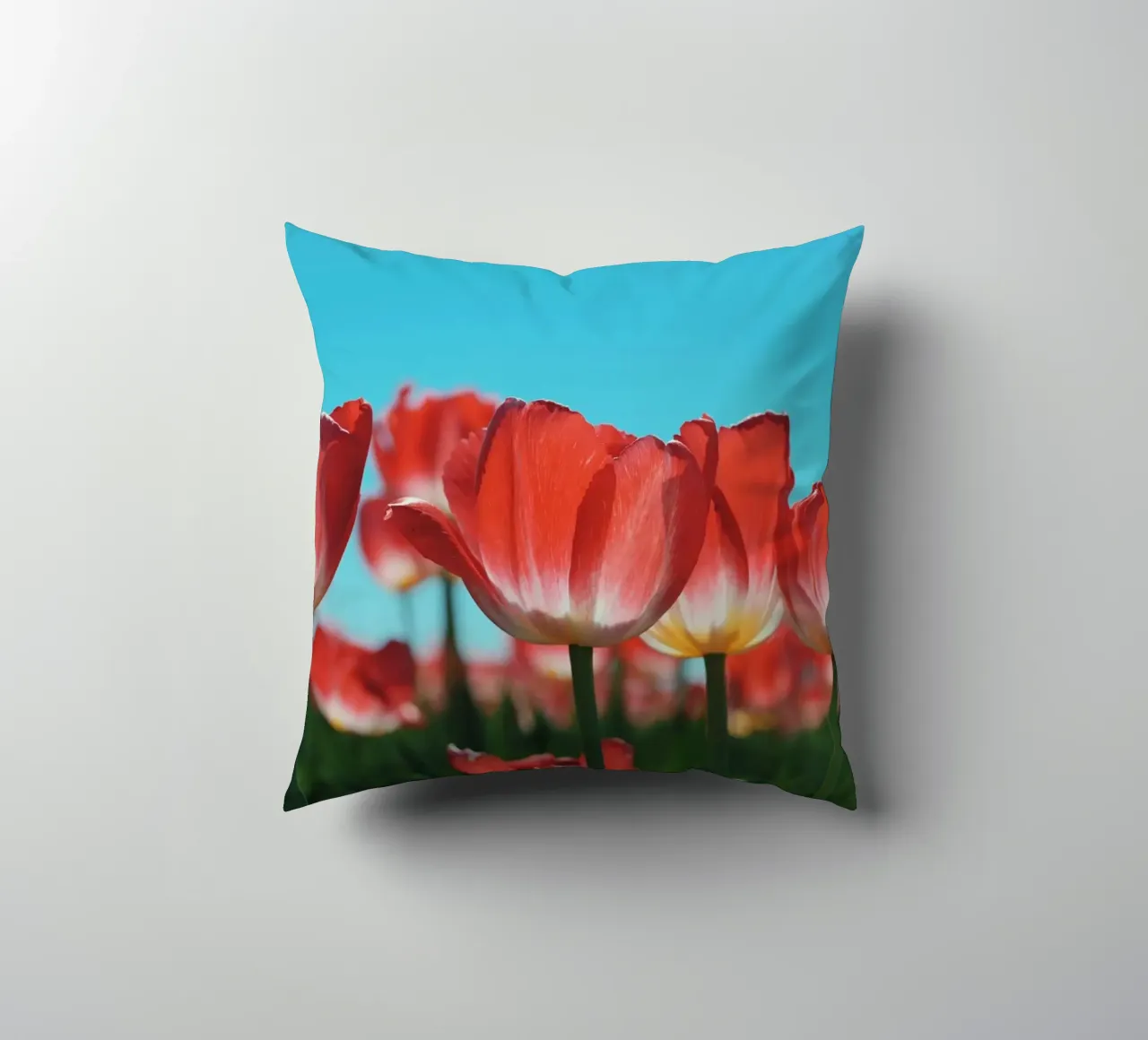 Tulip Row cuscino da Morgan Kendall