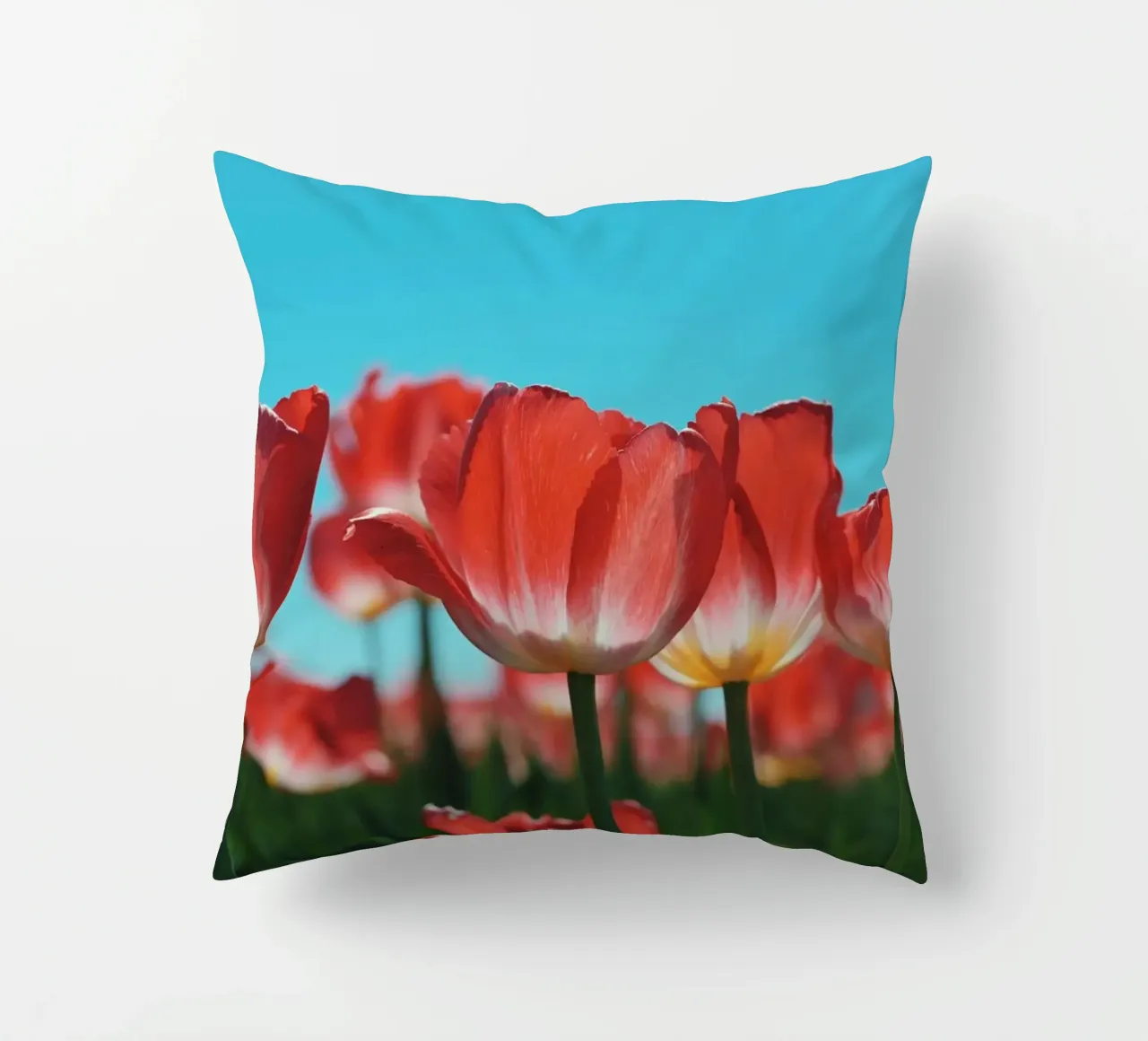 Tulip Row cuscino da Morgan Kendall