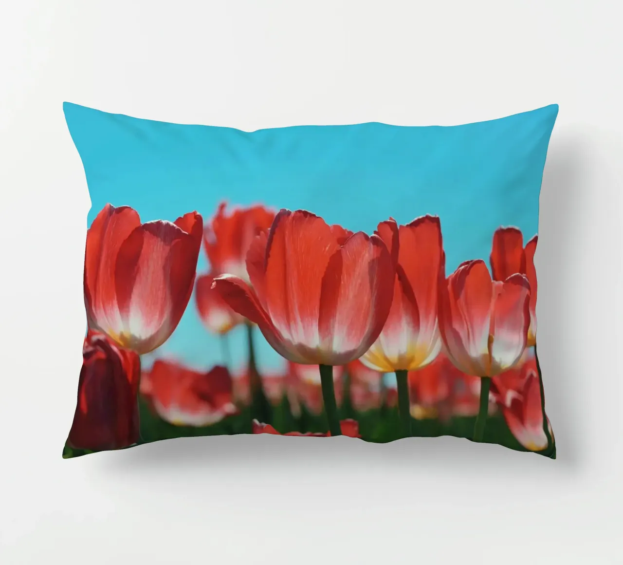 Tulip Row cuscino da Morgan Kendall