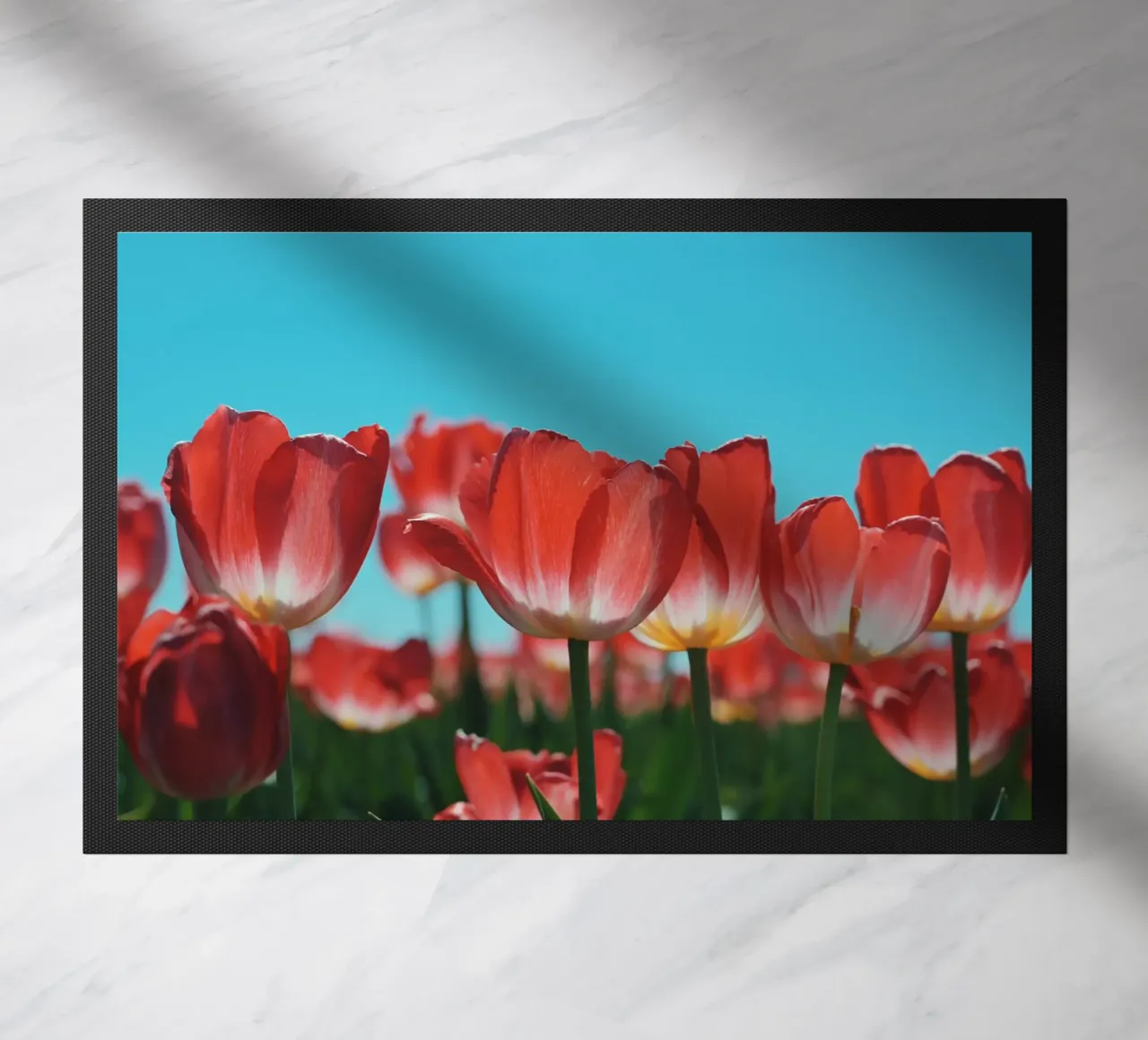 Tulip Row zerbino da Morgan Kendall