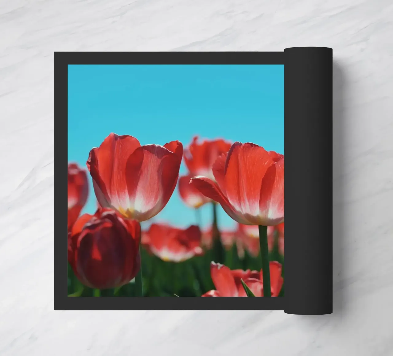 Tulip Row zerbino da Morgan Kendall