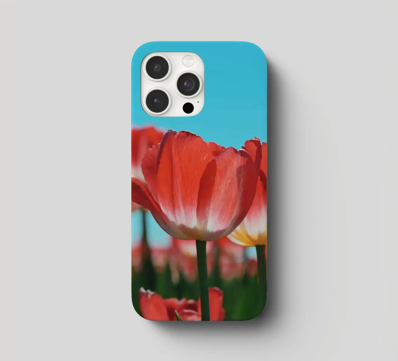 Tulip Row cover iphone da Morgan Kendall
