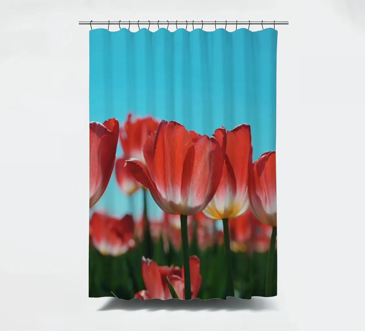 Tulip Row tenda da doccia da Morgan Kendall