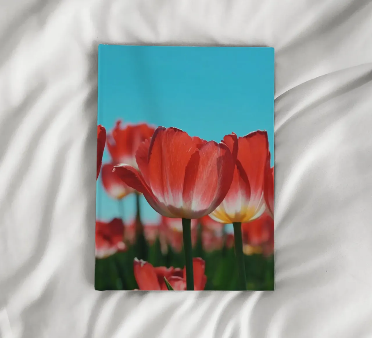 Tulip Row notebook by Morgan Kendall