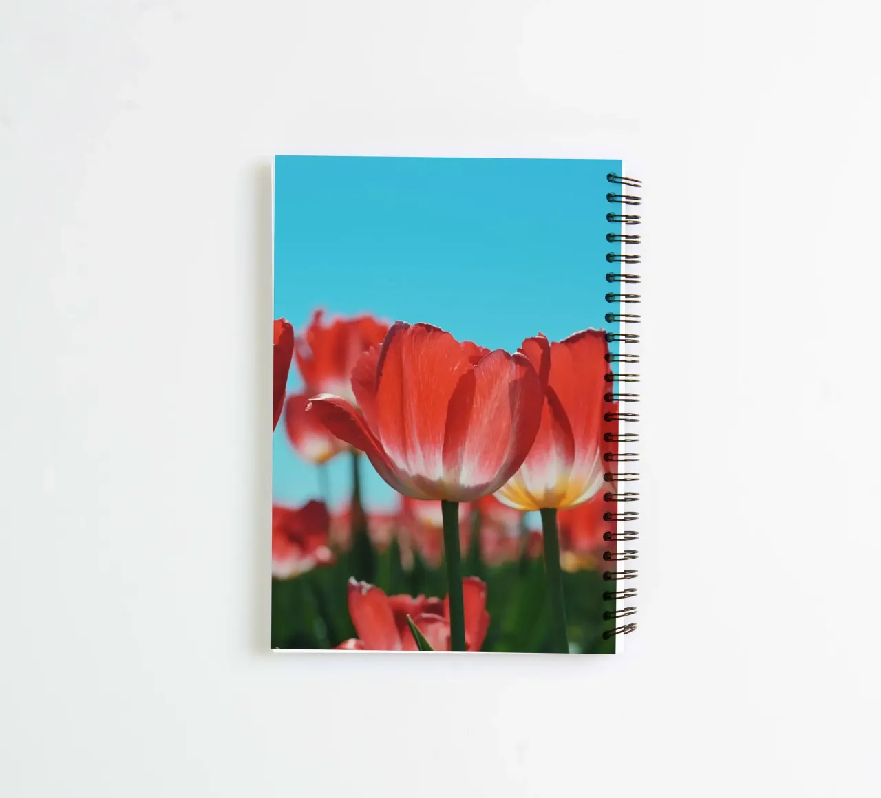Tulip Row spiral notebook by Morgan Kendall