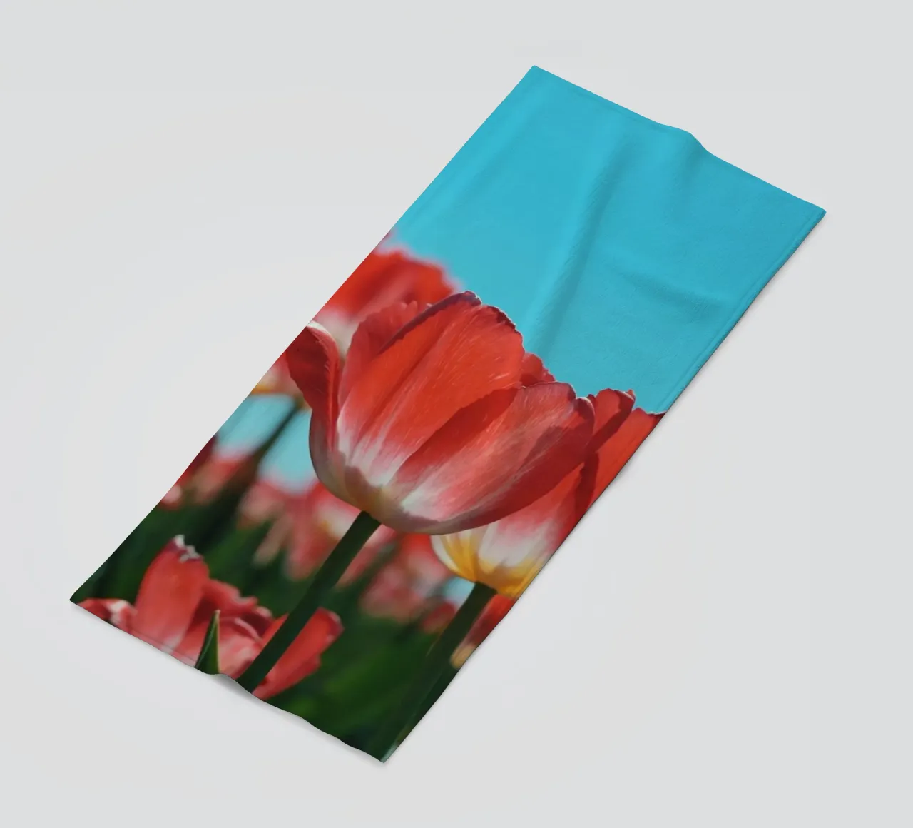 Tulip Row telo mare da Morgan Kendall